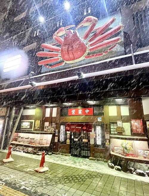 日本北海道函馆盐味拉面，海鲜早市帝王蟹，幸运汉堡，阿星看夜景