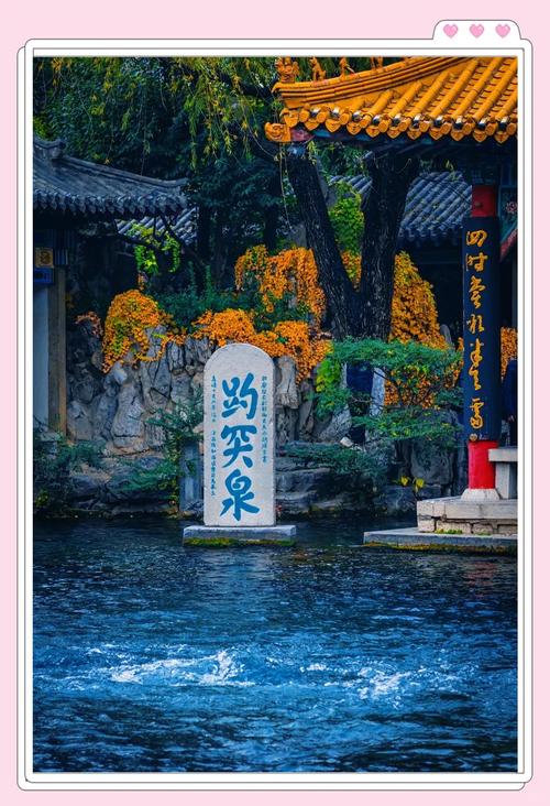 济南一日寻泉记：古城肌理里的水韵与烟火