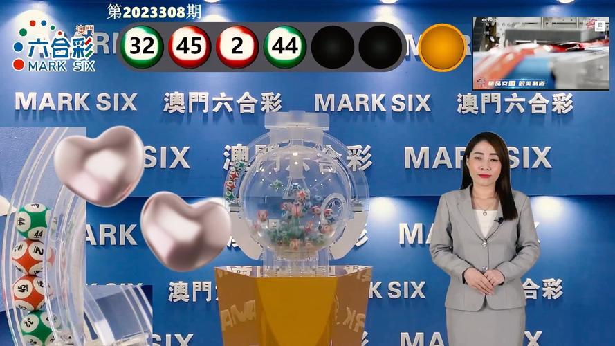 新澳门今晚开奖结果开奖记录17号-全面释义、专家解释与落实与警惕虚假宣传