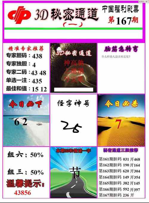 2024资料大全正版资料167期,全面释义、专家解释与落实与警惕虚假宣传
