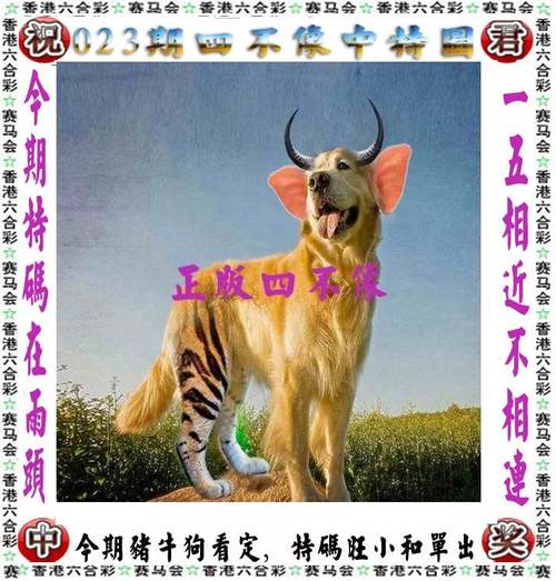2024澳门天天开彩开奖结果查询,2025年最新实用信息汇总指南