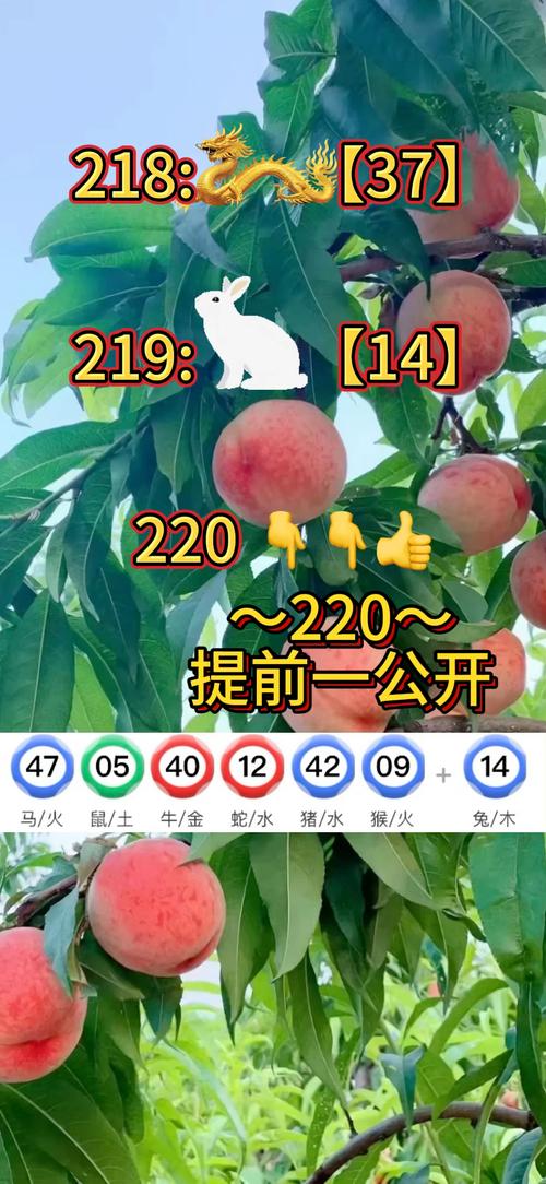 新澳门期期准今晚查询,2025年最新实用信息汇总指南