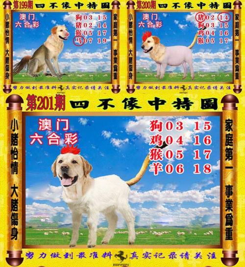 2025澳门精准正版免费四不像,2025全面解析实用技巧分享