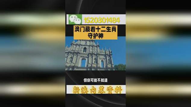 2024今晚澳门开特马开什么,2025全面解析实用技巧分享